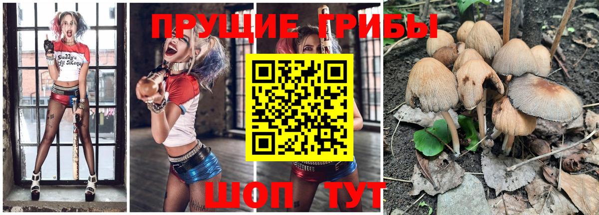 Псилоцибиновые грибы прущие грибы  наркотики  Вход с VPN  Белово  Псилоцибиновые грибы Psilocybe 